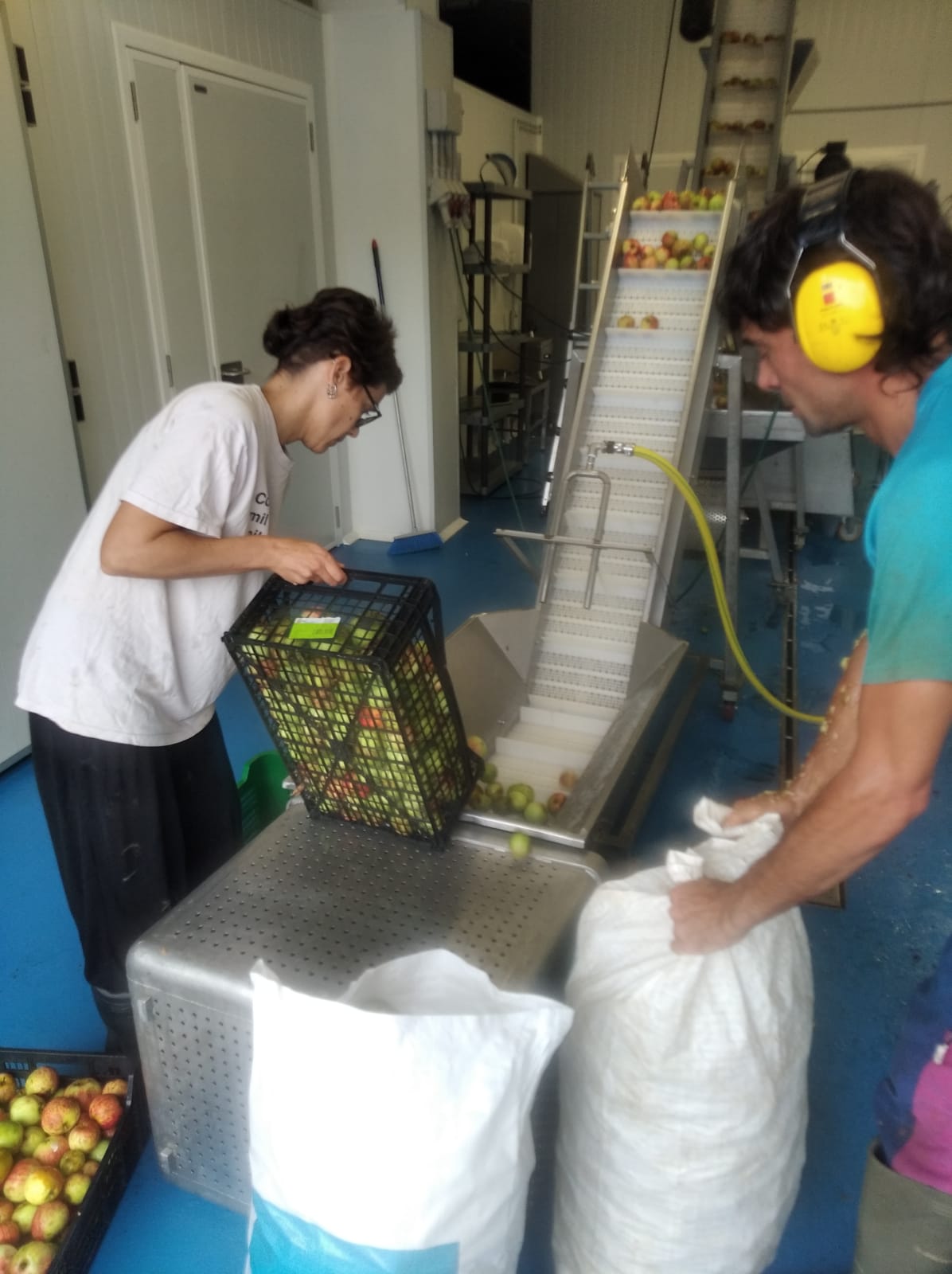 Haciendo zumo de manzana de Valentziarrak en el obrador de Zaldibia