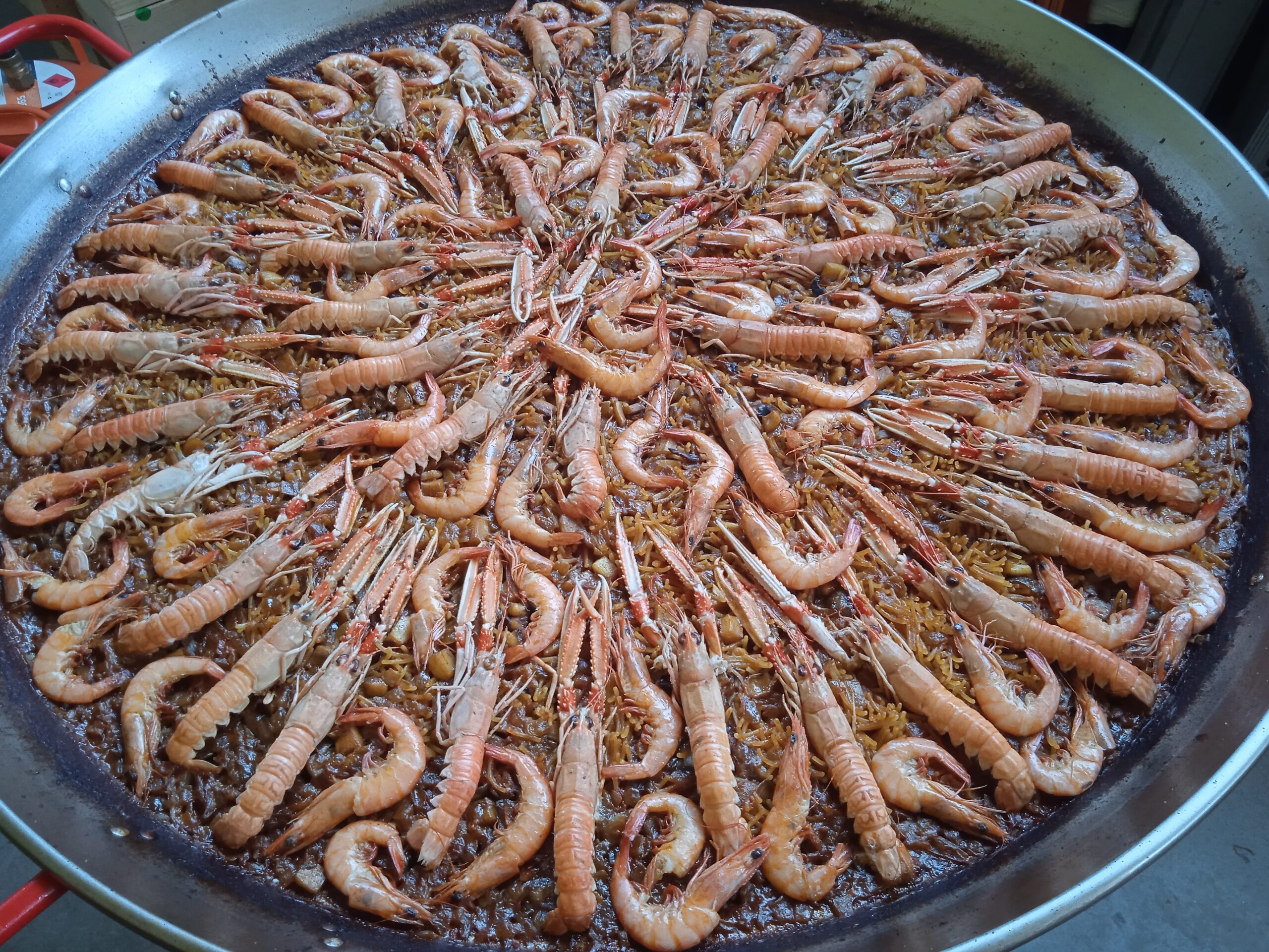 Fideuà en Biziola (Lazkao)